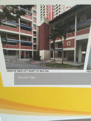 Blk 244 Bishan Street 22 (Bishan), HDB Executive #142172652